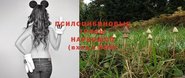 ГАЛЛЮЦИНОГЕННЫЕ ГРИБЫ Верхнеуральск