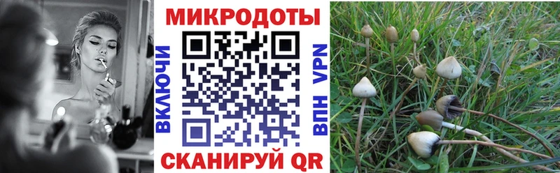 Псилоцибиновые грибы MAGIC MUSHROOMS  Купить где  Новая Ладога 